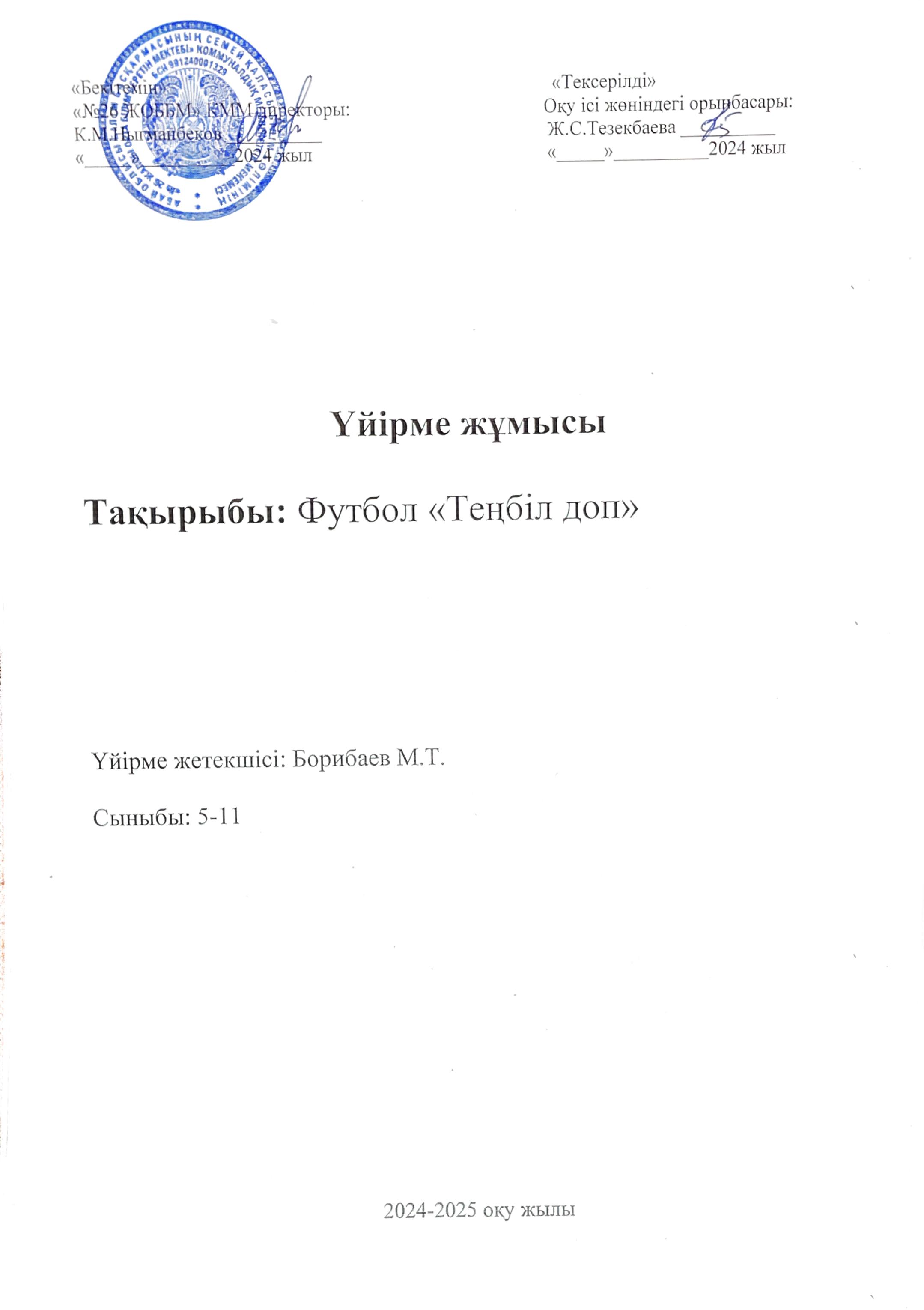 Футбол "Теңбіл доп"